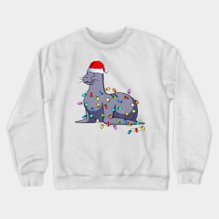 Seal Wearing Santa Hat Xmas Seals Lover Christmas Crewneck Sweatshirt